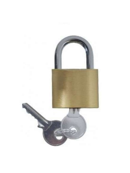 CANDADO BRONCE PEGASUS 50 MM